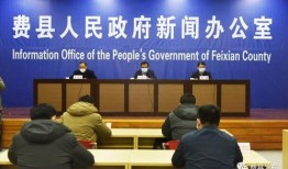 费县爆料新闻最新情况,突发事件引发关注，详情揭晓！